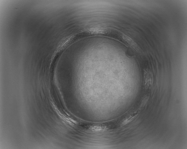 X0000058760494200509301021