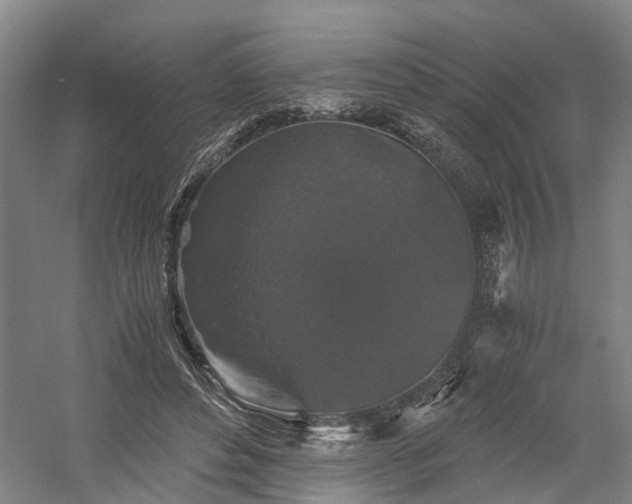 X0000058760496200509301021