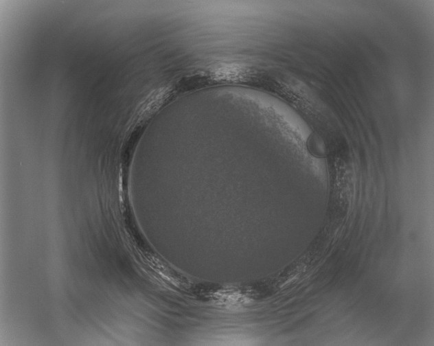 X0000058760502200509301021
