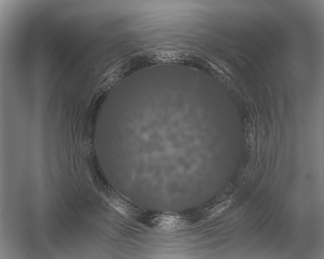 X0000058760507200509301021