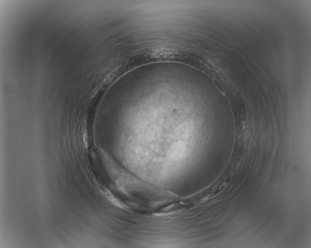 X0000058760508200509301021