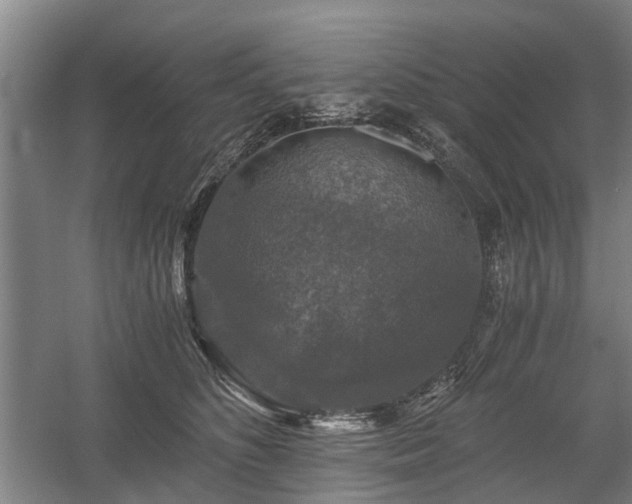 X0000058760516200509301021