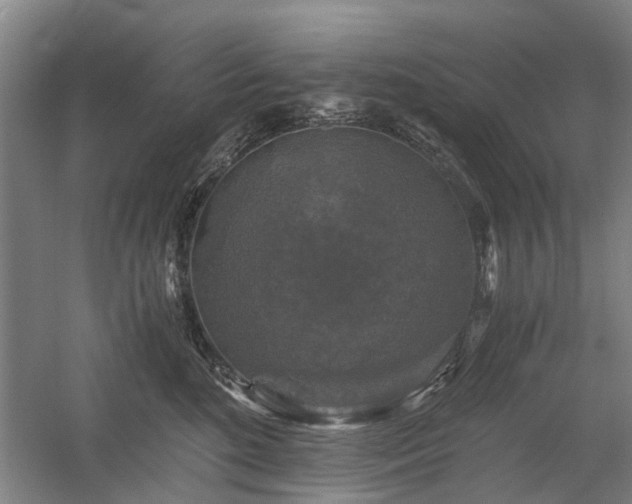 X0000058760520200509301021