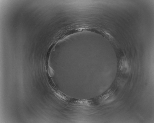 X0000058760524200509301021