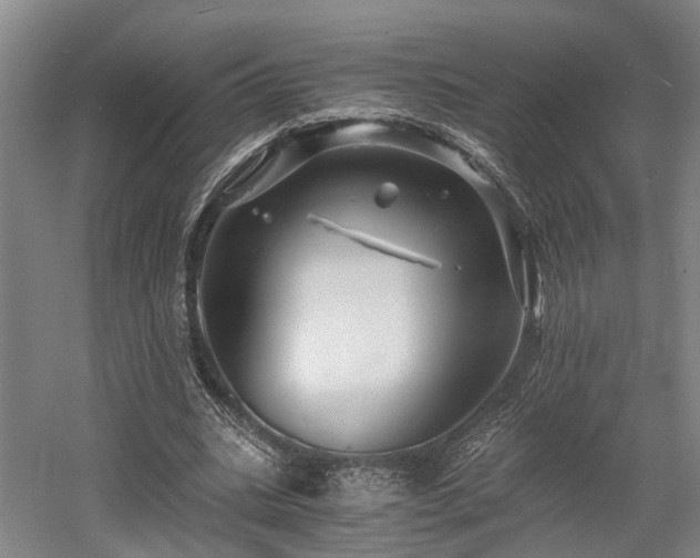 X0000058760535200509301020