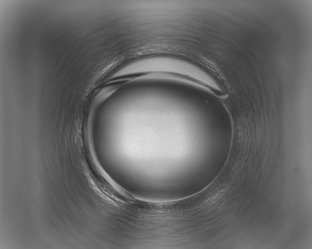 X0000058760538200509301020