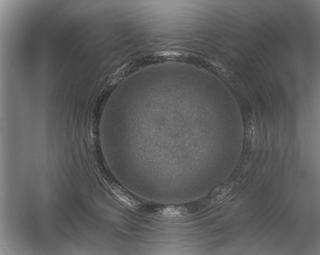 X0000058760566200509301021