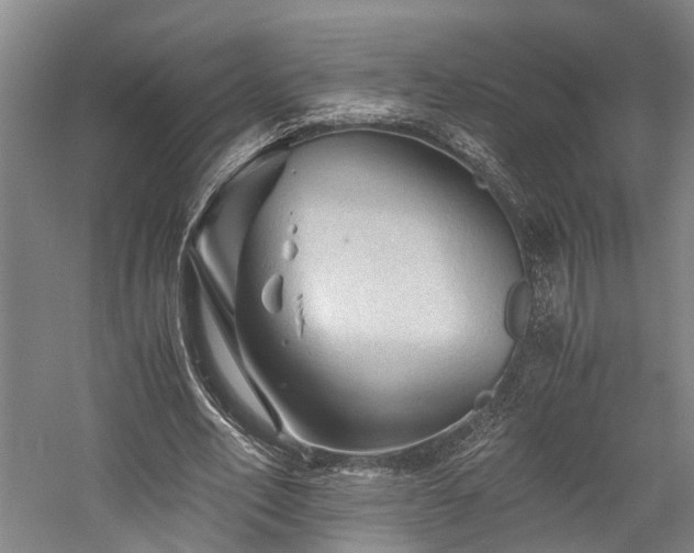 X0000058760582200509301020