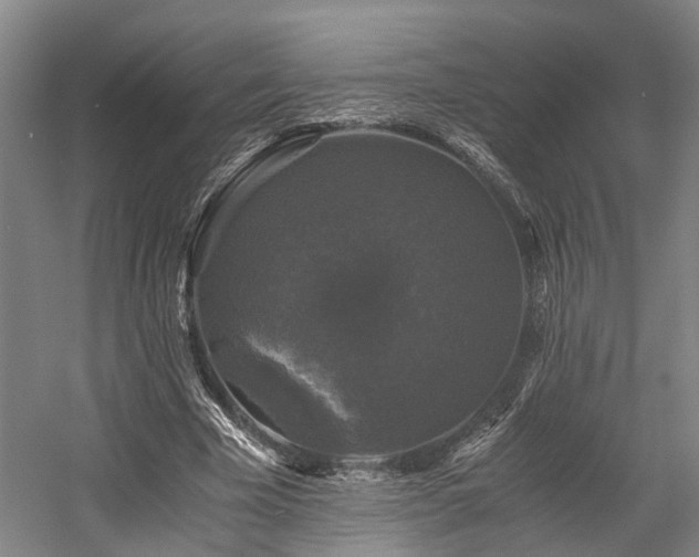 X0000058760585200509301020