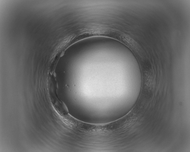 X0000058760586200509301020