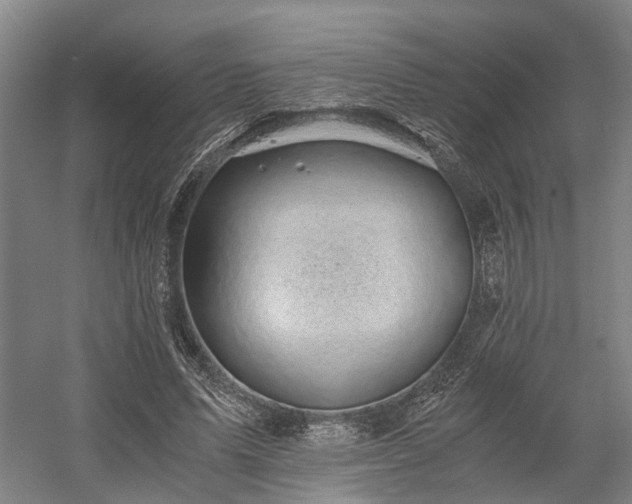 X0000058760591200509301020