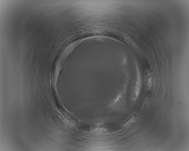 X0000058760593200509301020