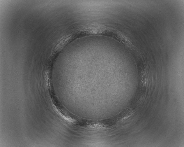 X0000058760594200509301020