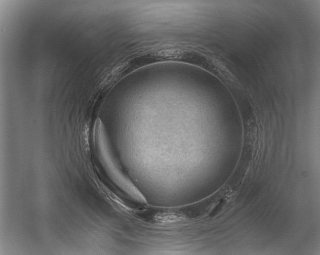 X0000058760597200509301020