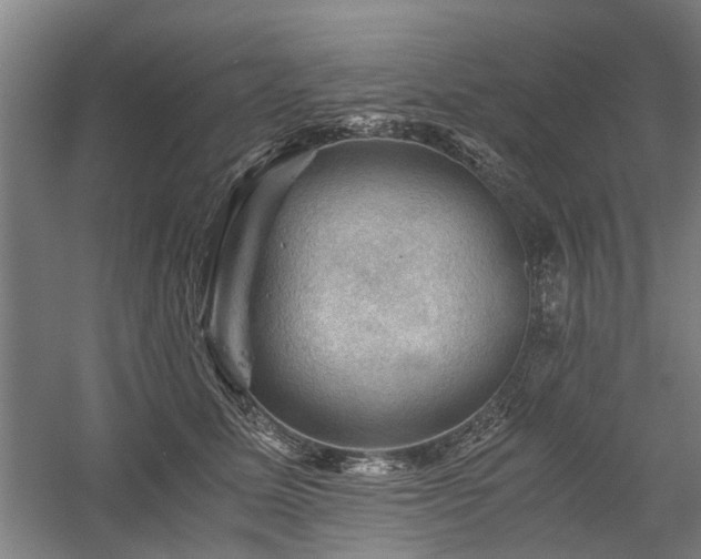 X0000058760611200509301019