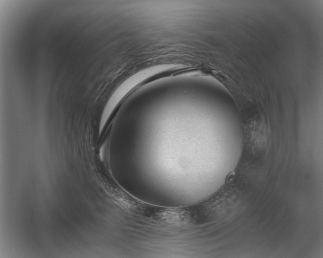 X0000058760615200509301019