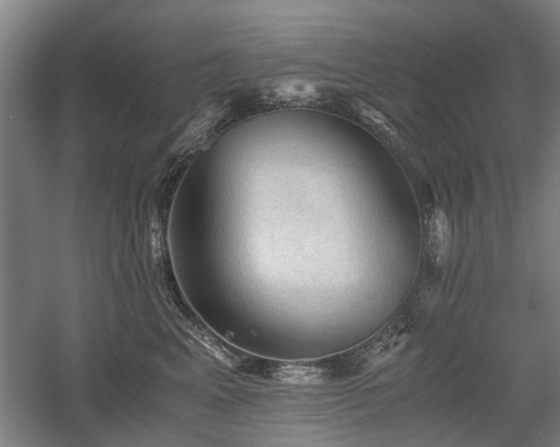 X0000058760617200509301019