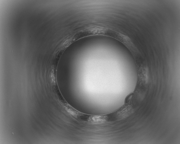 X0000058760622200509301019