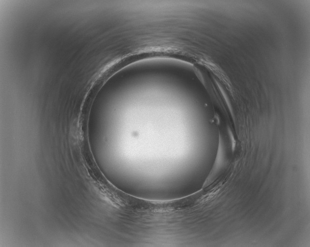 X0000058760628200509301018