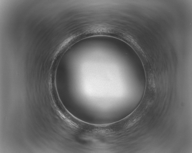 X0000058760629200509301018
