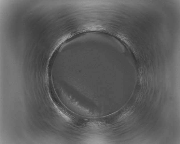 X0000058760630200509301018