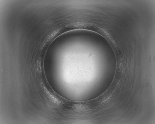 X0000058760633200509301019