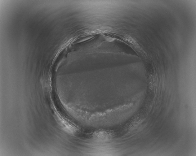 X0000058760634200509301019