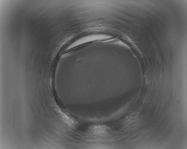X0000058760637200509301019