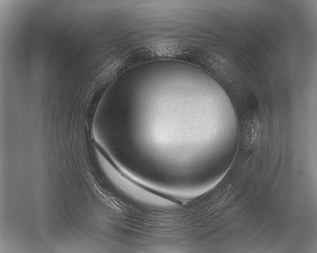 X0000058760639200509301019