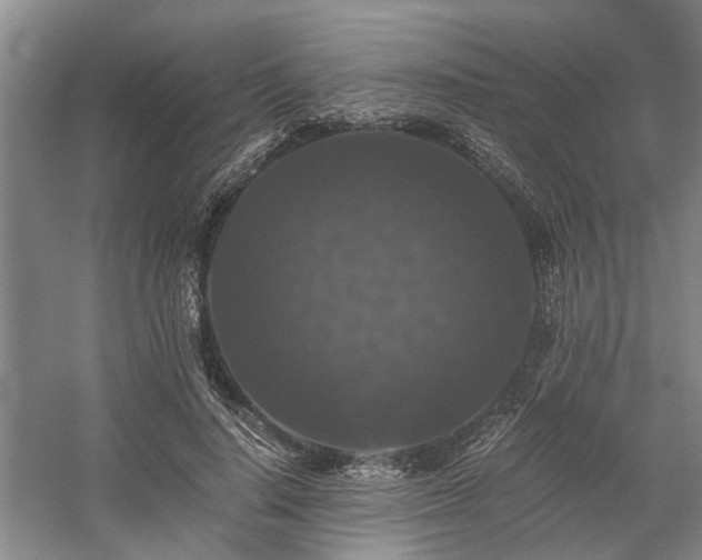 X0000058760644200509301019
