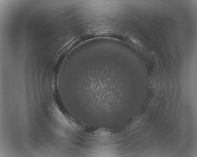 X0000058760648200509301019