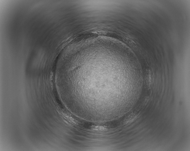 X0000058760649200509301019