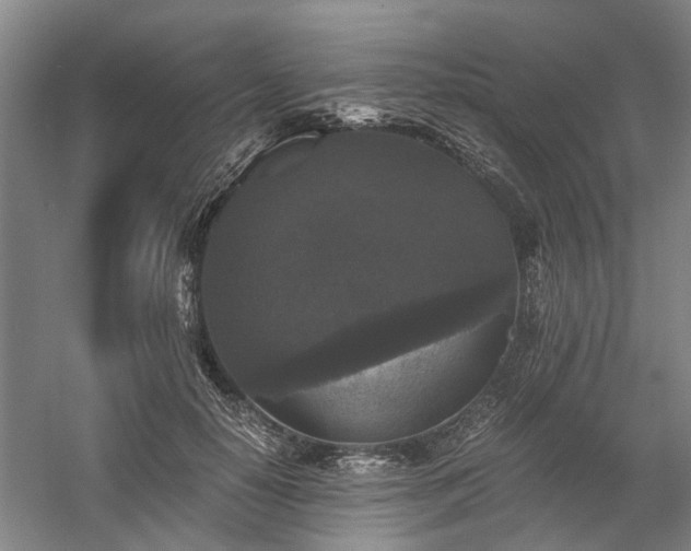 X0000058760650200509301019