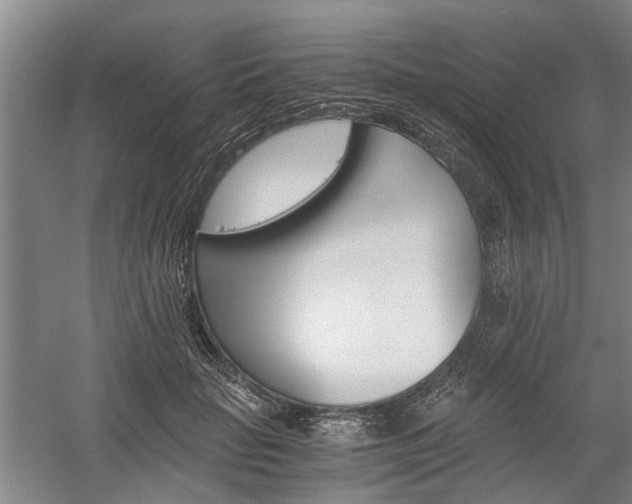 X0000058760653200509301019