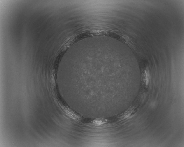 X0000058760662200509301019