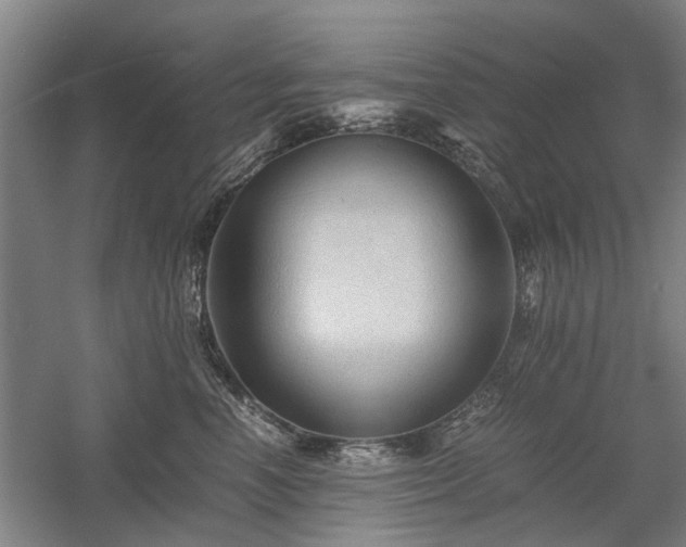 X0000058760666200509301019