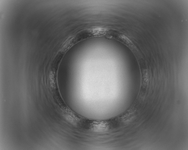 X0000058760667200509301019