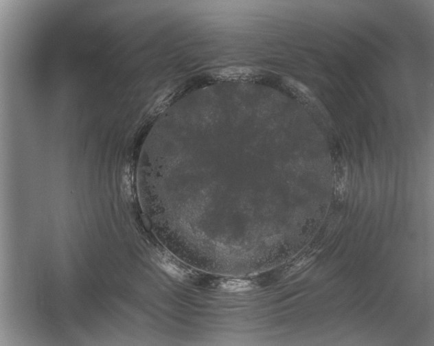 X0000058760669200509301019