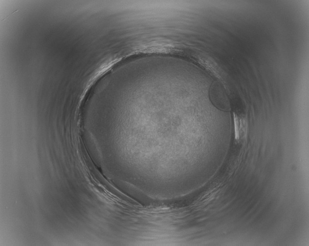 X0000058760675200509301018