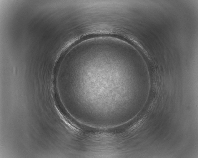X0000058760677200509301018