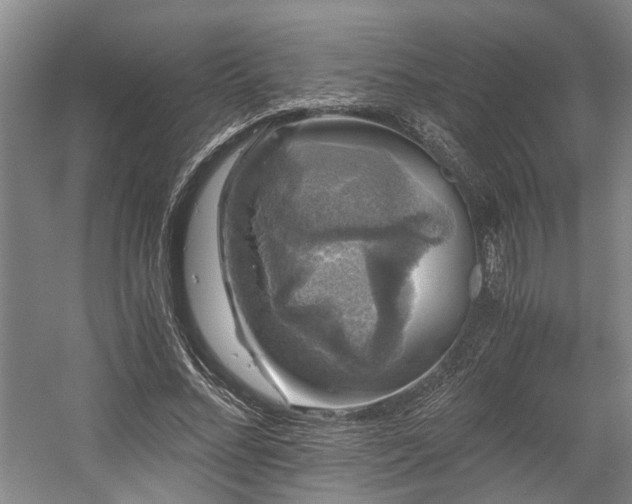 X0000058760684200509301018
