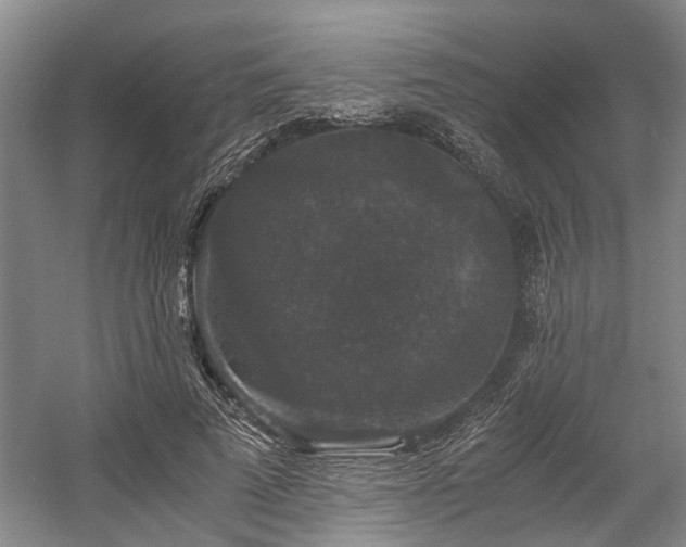 X0000058760689200509301018