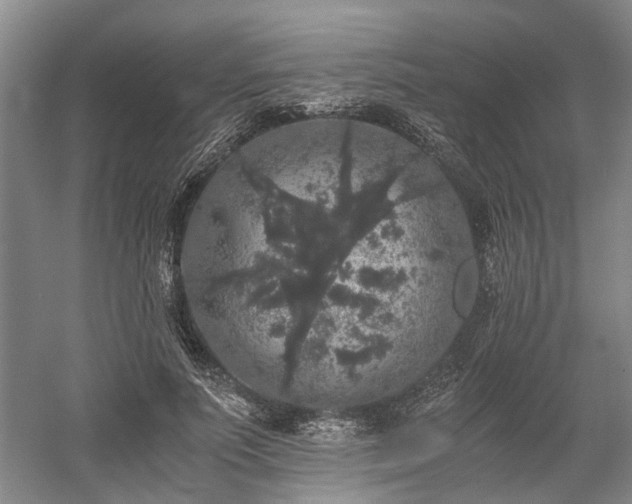 X0000058760691200509301018