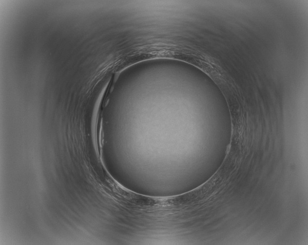 X0000058760696200509301018
