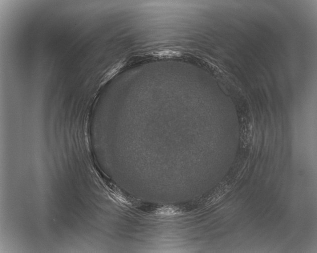 X0000058760704200509301018