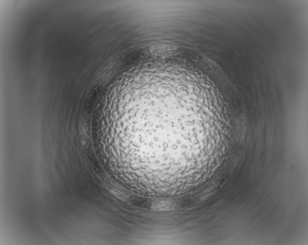 X0000058760705200509301018