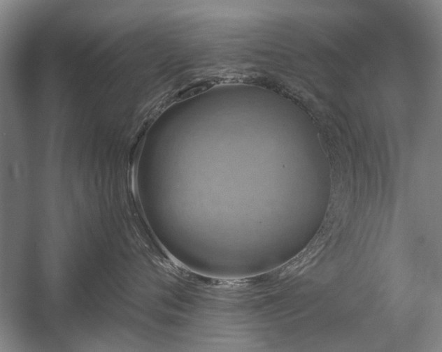 X0000058760720200509301018