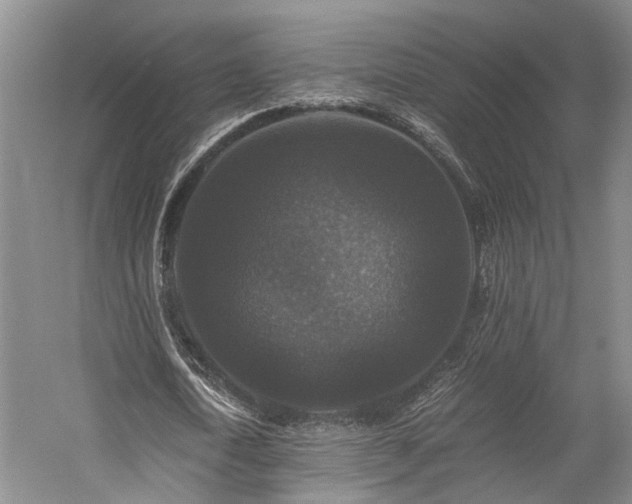 X0000058760722200509301017