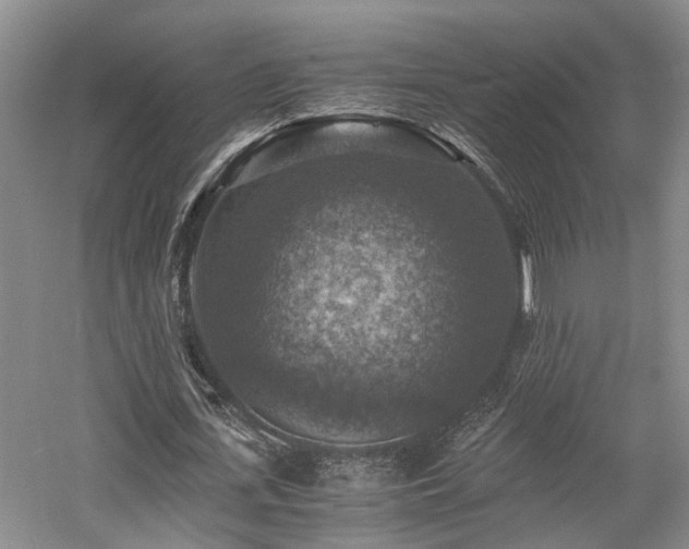 X0000058760723200509301017