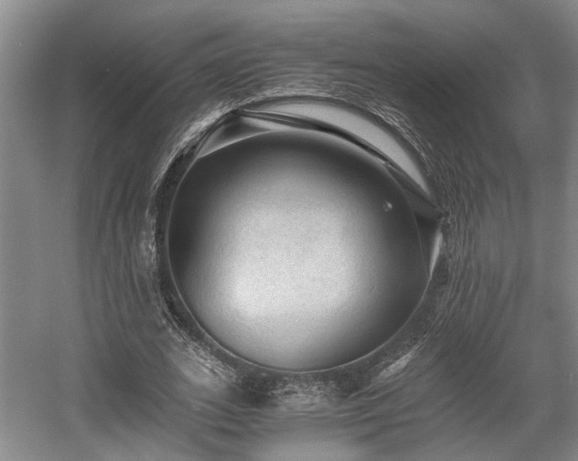 X0000058760727200509301017